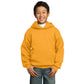 port & company youth fleece hoodie gold